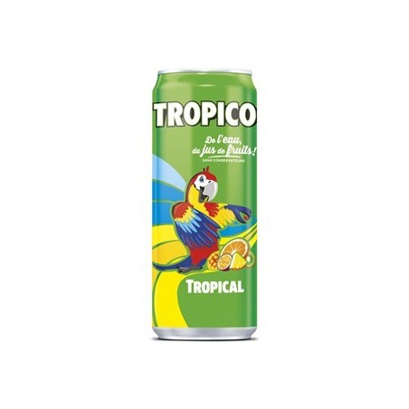 Boite Tropico Tropical 33 cl