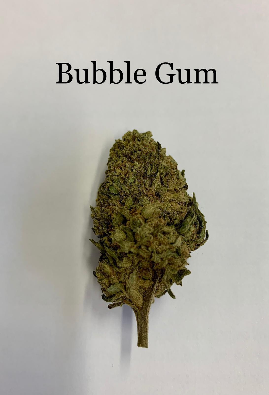 Bubble gum - Fleur CBD